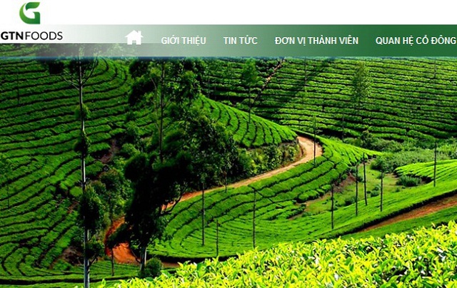 Cổ phiếu GTN có chuỗi tăng trần liên tiếp vừa qua