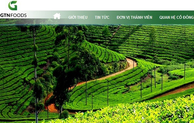 Cổ phiếu GTN có chuỗi tăng trần liên tiếp vừa qua