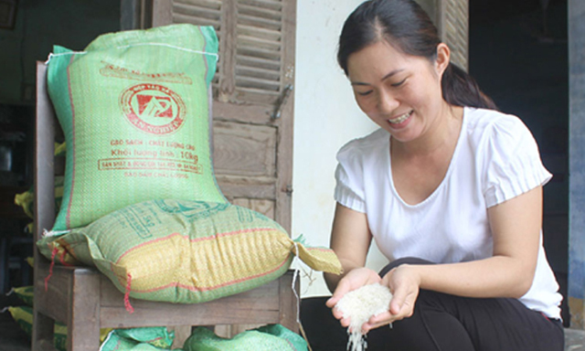 Sản phẩm Gạo thơm Hoa Vàng của HTX đã có mặt trên thị trường