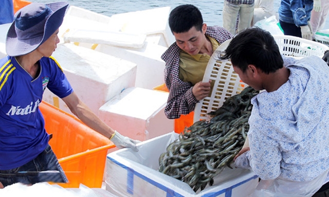 HTX đang gặt hái nhiều thành công từ nuôi tôm trên cát