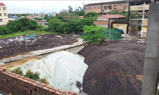 Bãi thủy tinh của công ty