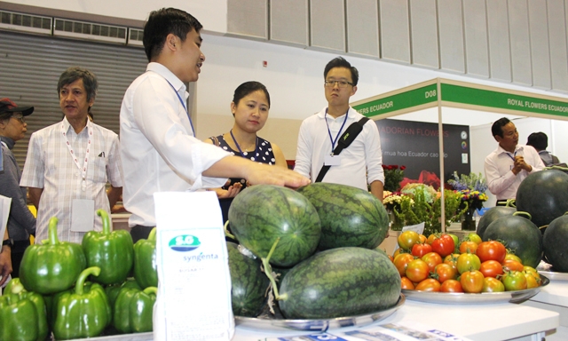 Trái cây Việt cần tự nhận thấy mình trước việc xuất khẩu hộ trái cây Thái Lan