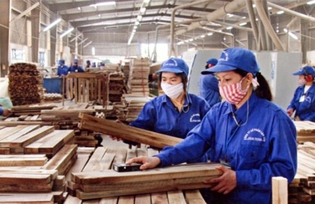 Tuần qua, cổ phiếu TTF đã có 4 phiên giảm giá liên tiếp