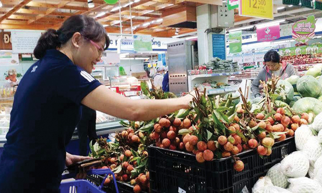 Vải thiều Bắc Giang được phân phối trong hệ thống siêu thị Saigon Co.op