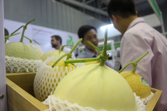 Nhiều doanh nghiệp nhỏ làm nông nghiệp nhưng liên kết rời rạc