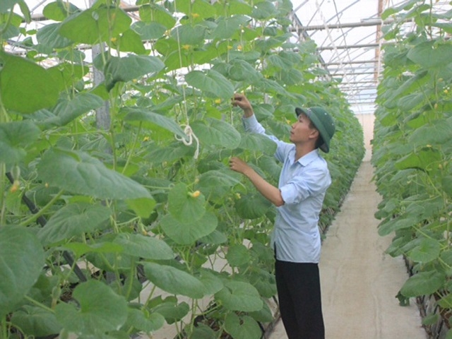 10 năm tới, nông nghiệp Việt Nam phải đứng vào top 15 nước phát triển nhất thế giới