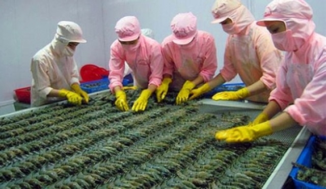 XK tôm giảm trong quý II được cho là giá tôm trên thị trường thế giới giảm.
