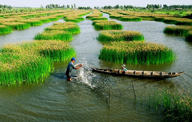 Nuôi tôm sinh thái tại tỉnh Cà Mau (Nguồn Internet)