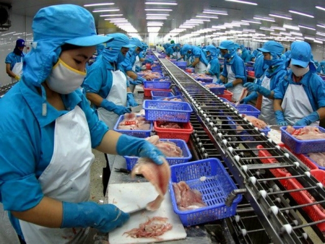 Sản phẩm cá tra Việt Nam đang chịu mức thuế chống bán phá giá rất cao tại Mỹ, từ 2,39 - 7,74 USD/kg (Ảnh minh họa: Internet)