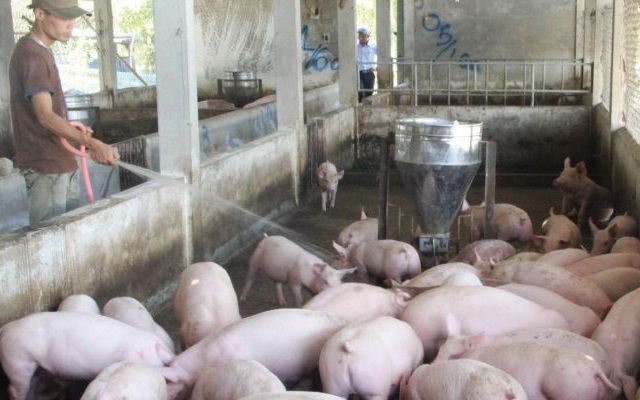 Ảnh minh họa (Nguồn Internet)