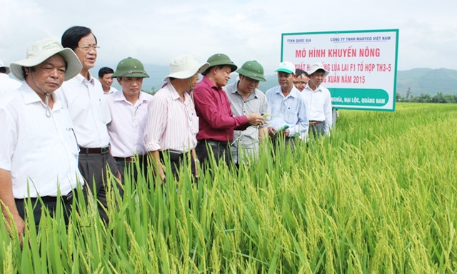 HTX đang tạo ra sự an toàn kép cho thành viên, người lao động