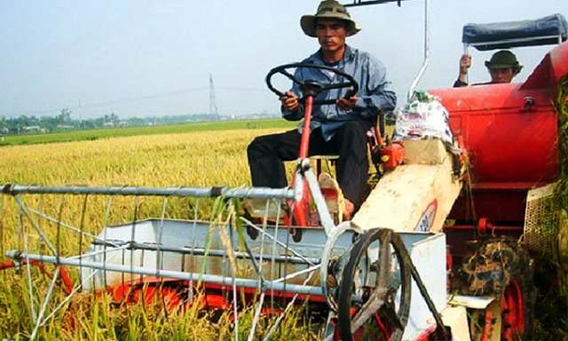 HTX thu hoạch lúa bằng máy gặt liên hợp tiên tiến