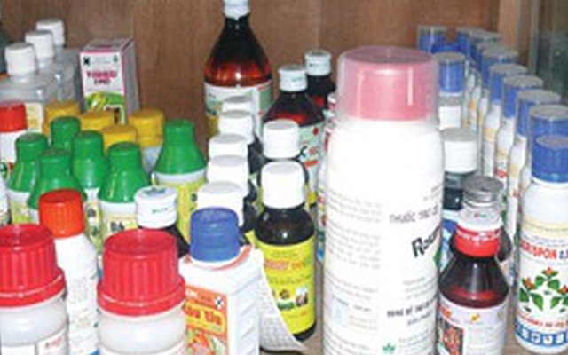 Ảnh minh họa (Nguồn Internet)