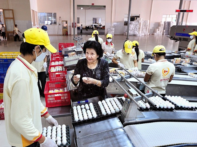 Sau gần nửa năm hợp tác, VinaCapital quyết định dừng đầu tư vào Ba Huân (Ảnh minh họa: Internet)