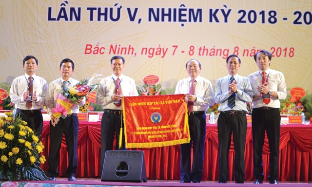 Chủ tịch Nguyễn Ngọc Bảo trao Cờ thi đua của Liên minh HTX Việt Nam cho Liên minh HTX tỉnh