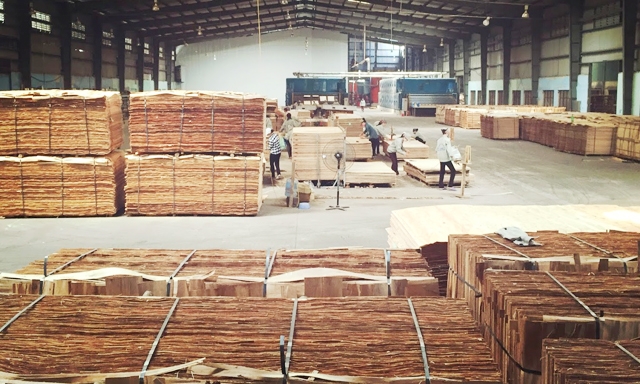 Ngành gỗ Việt đối mặt áp lực thiếu nguồn nguyên liệu