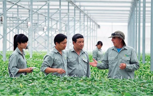 Tổng mức hỗ trợ cao nhất cho một dự án tới 10 tỷ đồng.