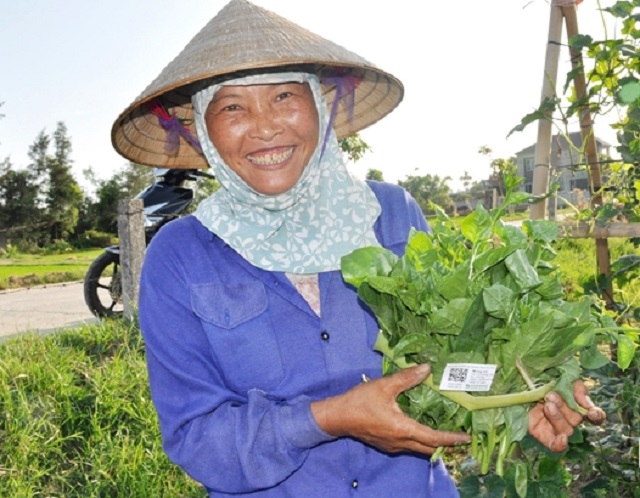 Tem QR code đã được dán lên sản phẩm của HTX nông nghiệp Hoàng Hà