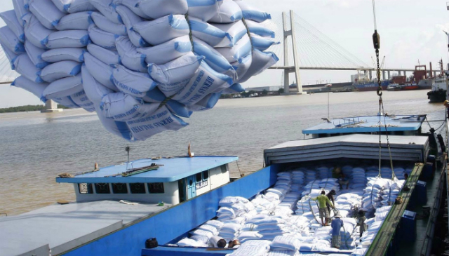 Gạo ngon khó có cửa xuất ngoại vì vướng điều kiện kinh doanh