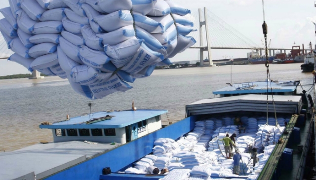 Gạo ngon khó có cửa xuất ngoại vì vướng điều kiện kinh doanh