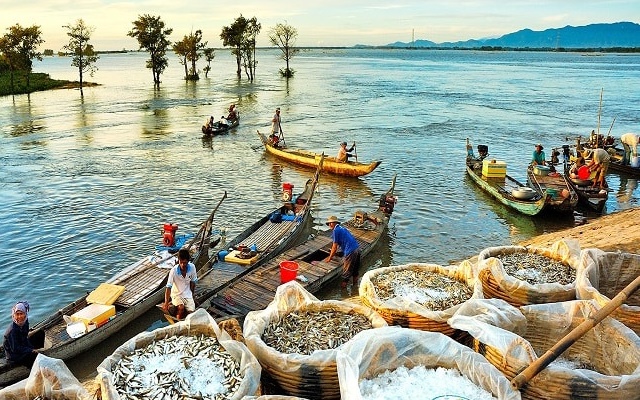 Tour tham quan mùa nước nổi tại miền Tây.