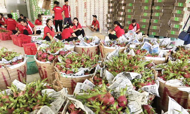 Trái cây Việt khó tăng sản lượng xuất khẩu vào những thị trường khó tính