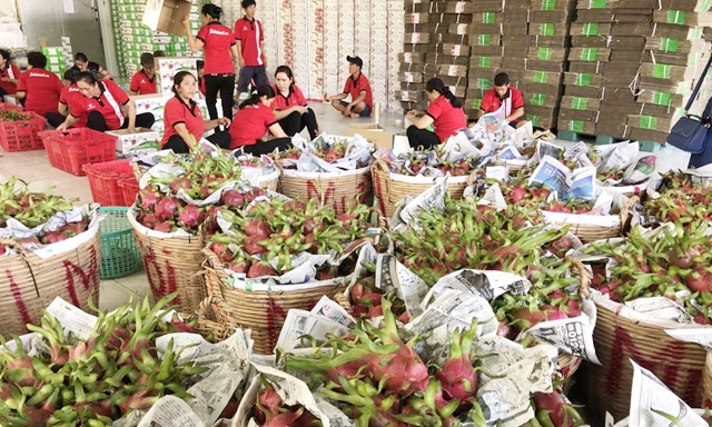 Trái cây Việt khó tăng sản lượng xuất khẩu vào những thị trường khó tính
