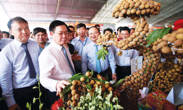 Phó Thủ tướng Vương Đình Huệ thăm gian hàng triển lãm nhãn lồng tại lễ hội Nhãn lồng Hưng Yên