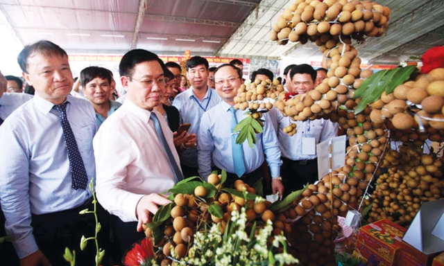 Phó Thủ tướng Vương Đình Huệ thăm gian hàng triển lãm nhãn lồng tại lễ hội Nhãn lồng Hưng Yên