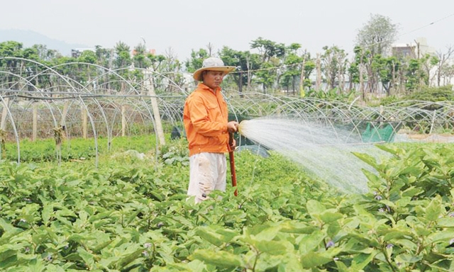 HTX đang đạt hiệu quả cao nhờ sản xuất an toàn