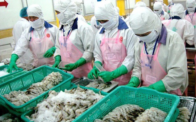 Con tôm Việt đang chịu mức thuế chống bán phá giá cao ở mức 4,78%.