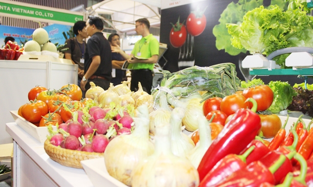 Nông sản Việt Nam gặp khó tại thị trường EU cần được bắt đúng bệnh