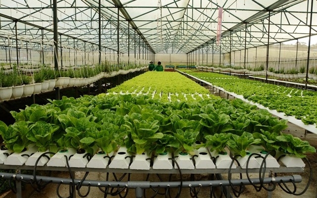 Tỉnh Quảng Bình sẽ hỗ trợ 200 triệu đồng/mô hình.