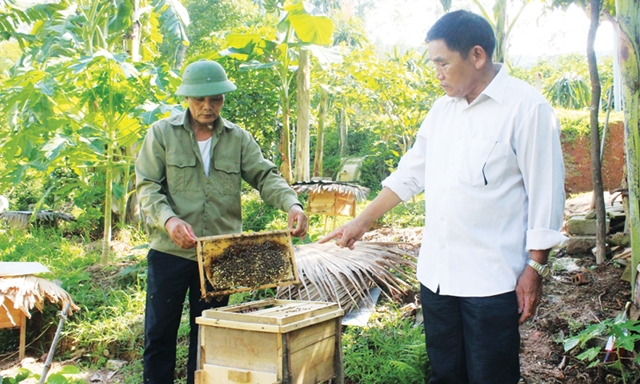 Kiểm tra chất lượng mật ong trước khi quay