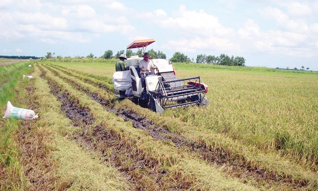 HTX đang làm tốt vai trò “đầu tàu” phát triển sản xuất