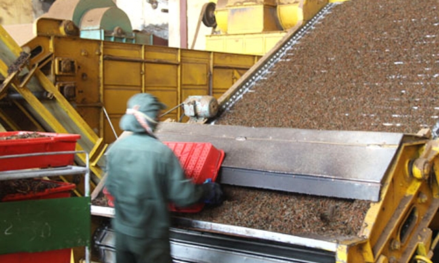 Dây chuyền chế biến chè hiện đại của HTX