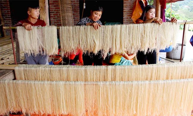 Sản xuất miến tại cơ sở miến dong Tài Hoan