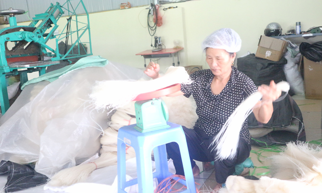 Mỳ gạo Hùng Lô nổi tiếng với sợi mỳ nhỏ, trắng, sạch, nấu chín không bị nát