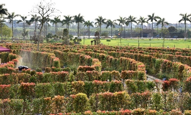 Công viên hoa hồng (Ảnh Vntrip)