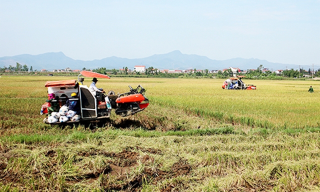 Các HTX nông nghiệp đóng vai trò quan trọng trong xây dựng NTM của địa phương