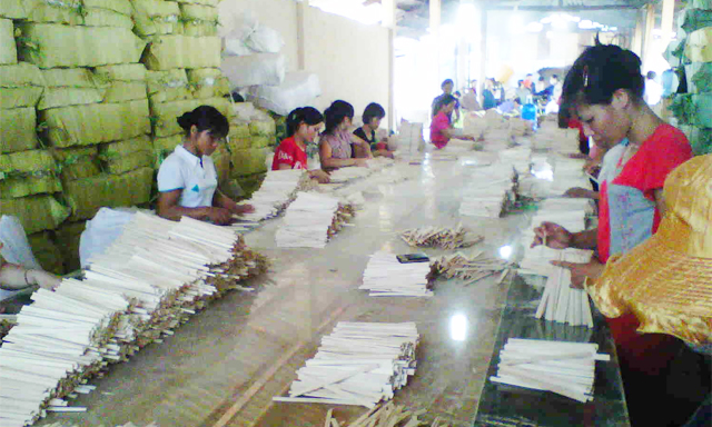 Xưởng sản xuất đũa quế của HTX