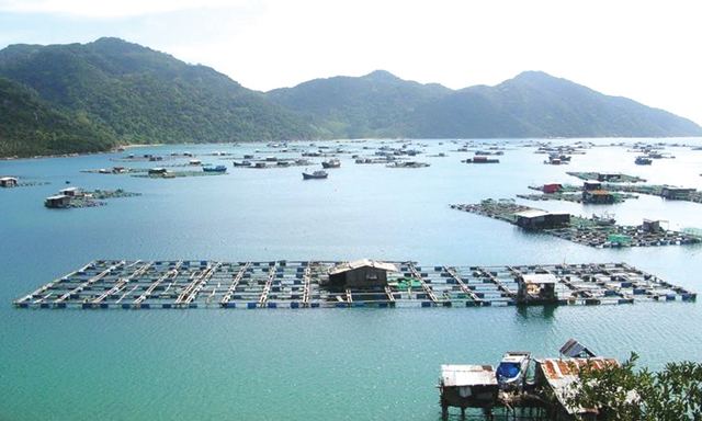 HTX thủy sản trên hồ thủy điện Sơn La