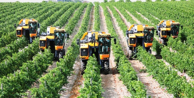 Dư nợ tín dụng nông nghiệp nông thôn tăng bình quân 20%/năm