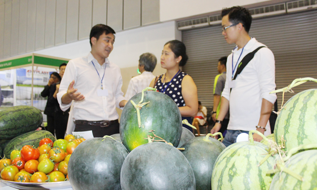 Đà tăng trưởng xuất khẩu nông sản đang cần sự tự tin của các DN nhỏ và vừa