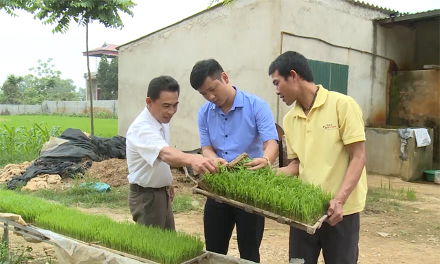 HTX đã hoàn toàn tự chủ, độc lập trong sản xuất mạ khay