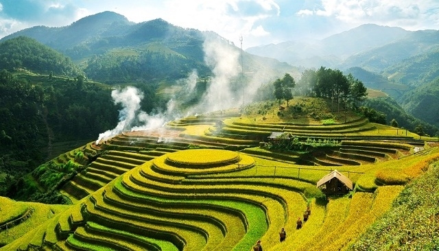 Ảnh minh họa (Nguồn Internet)