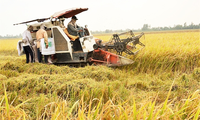 Hoạt động sản xuất của HTX đang phát huy hiệu quả kinh tế cao và bảo đảm quy định ATLĐ