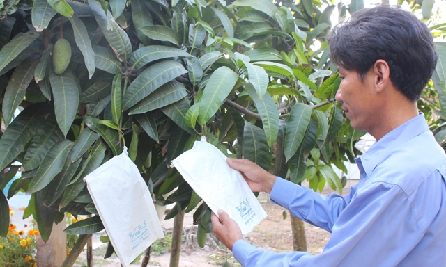 Nhu cầu sản xuất theo chuẩn chất lượng giữa các DN và nông dân là rất lớn