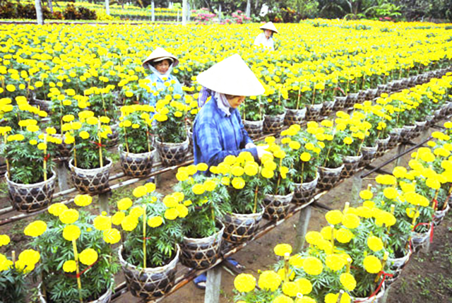 Hoạt động của HTX đang đạt hiệu quả cao và đảm bảo an toàn