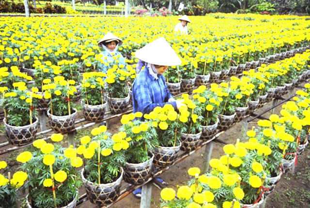 Hoạt động của HTX đang đạt hiệu quả cao và đảm bảo an toàn